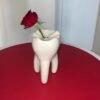 Interesante jarrón con forma de diente que se puede utilizar para arreglos florales como portavelas o para el hogar