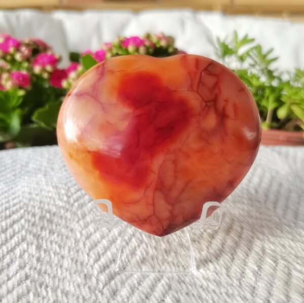 Corazón de cornalina tallado a mano AAA+ (agatización avanzada) Corazón de llama naranja Ágata roja auténtica Corazón de cristal Cornalina natural Sanación de chakras Cristal energético Sanación Decoración para el hogar Regalos para parejas amigo Regalos para la familia