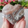 Crazy White Mexican Agate Hearts with Geode (Advanced Agatization) Mexican Agate Crystal Heart Carving Stone of Happiness Healing Crystal Energy Crystal Healing Home Decor Gifts for Couples Friend Family Gifts