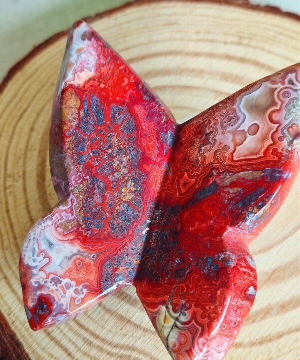 IMG_20260128_171721 Natural Red Agate Butterfly from Mexico · Hand carved and polished · Spiritual decoration and collector's item