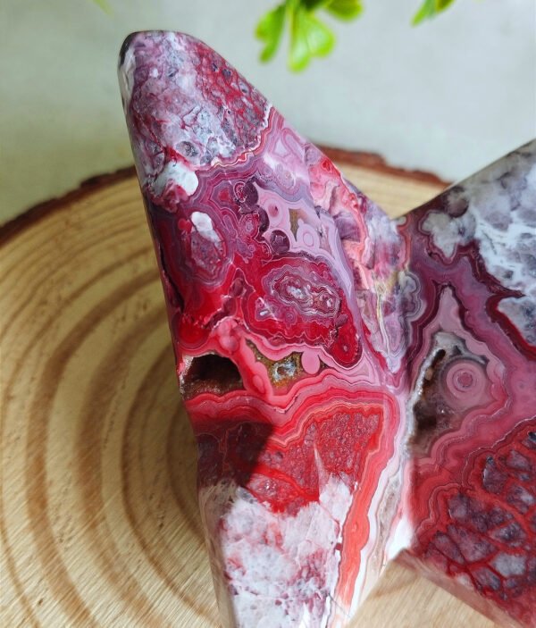 IMG_20260128_171928 Natural Red Agate Butterfly from Mexico · Hand carved and polished · Spiritual decoration and collector's item