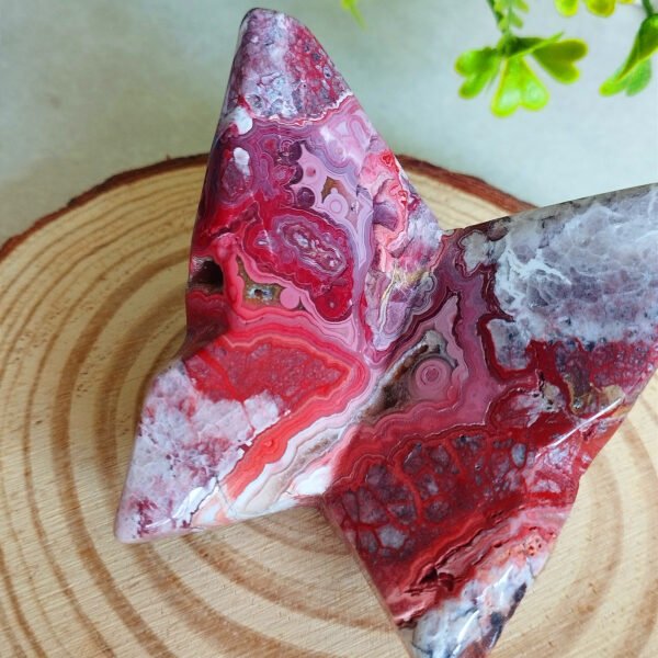 IMG_20260128_171951 Natural Red Agate Butterfly from Mexico · Hand carved and polished · Spiritual decoration and collector's item