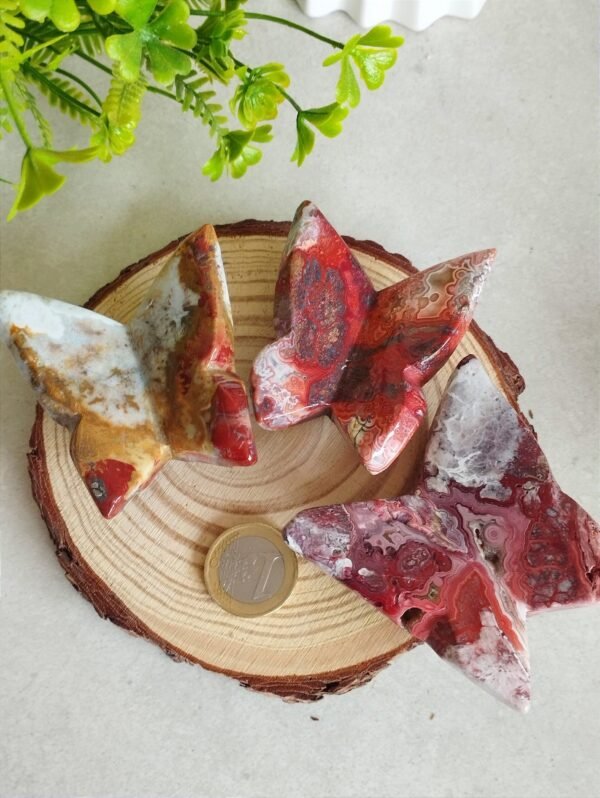IMG_20260128_172058 Natural Red Agate Butterfly from Mexico · Hand carved and polished · Spiritual decoration and collector's item