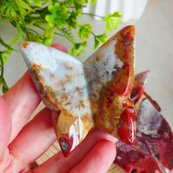 IMG_20260128_172121 Natural Red Agate Butterfly from Mexico · Hand carved and polished · Spiritual decoration and collector's item