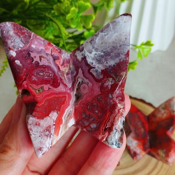 IMG_20260128_172206 Natural Red Agate Butterfly from Mexico · Hand carved and polished · Spiritual decoration and collector's item