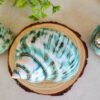 IMG_20260129_171619 Unique natural blue seashell - Nautical home decor