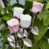 Natural Pink Opal rose with silver stem – Decorative flower made of natural stone – Special gift and collector's item