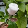 Natural Pink Opal rose with silver stem – Decorative flower made of natural stone – Special gift and collector's item