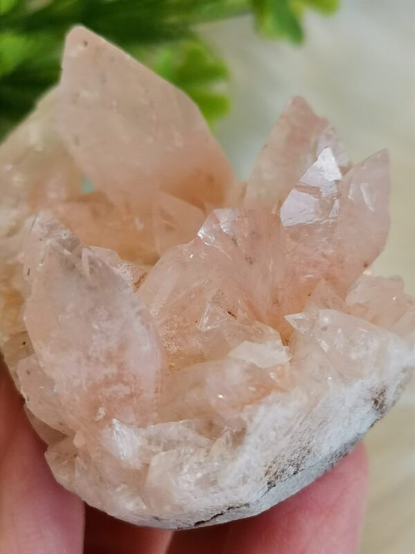 Racimo de Cuarzo Rosa natural
