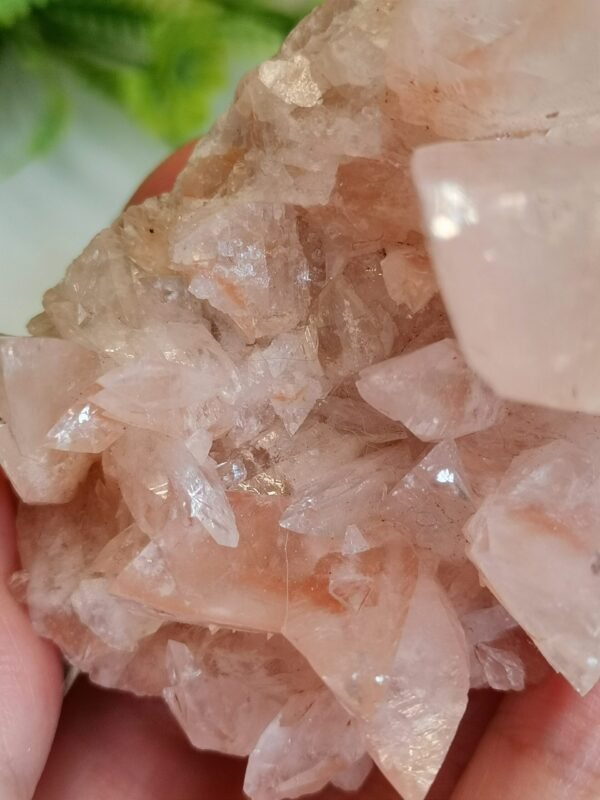 Racimo de Cuarzo Rosa natural