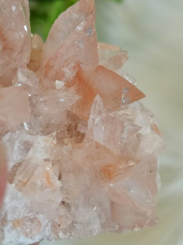 Racimo de Cuarzo Rosa natural