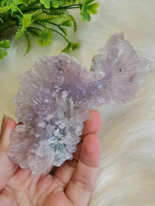 Racimo de amatista natural Cristal