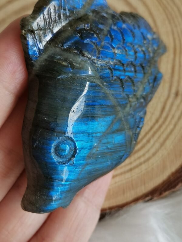 IMG_20260208_114333 Pez tallado en labradorita natural