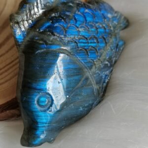 IMG_20260208_114351 Pez tallado en labradorita natural