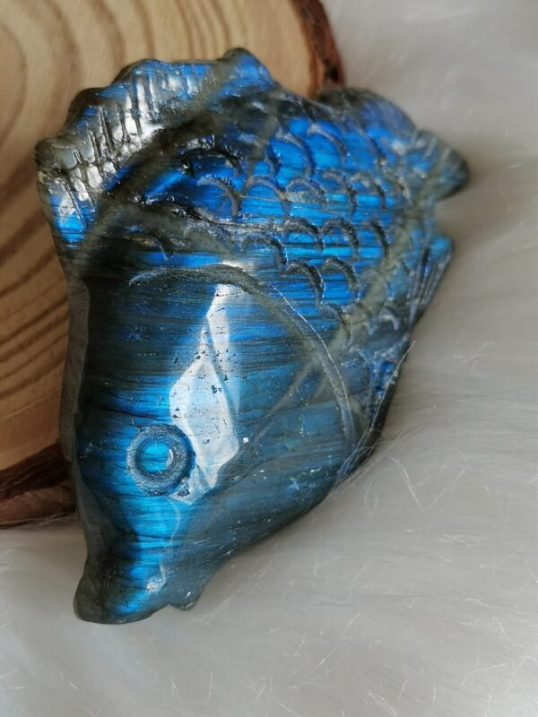 IMG_20260208_114351 Pez tallado en labradorita natural