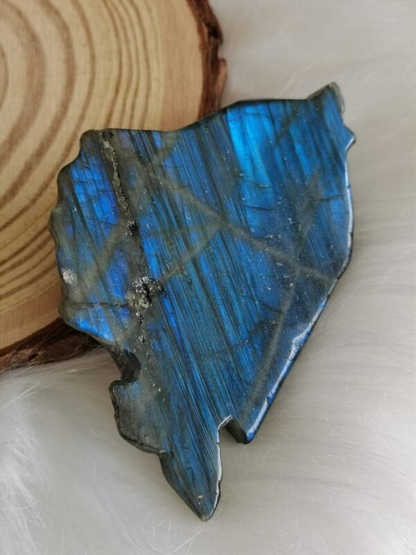 IMG_20260208_114427 Pez tallado en labradorita natural