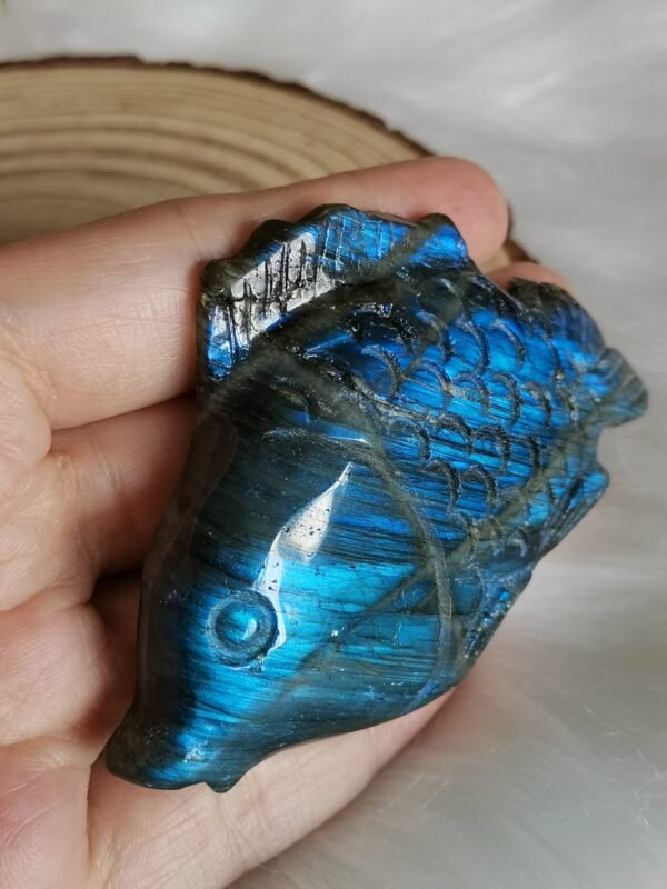 IMG_20260208_114513 Pez tallado en labradorita natural