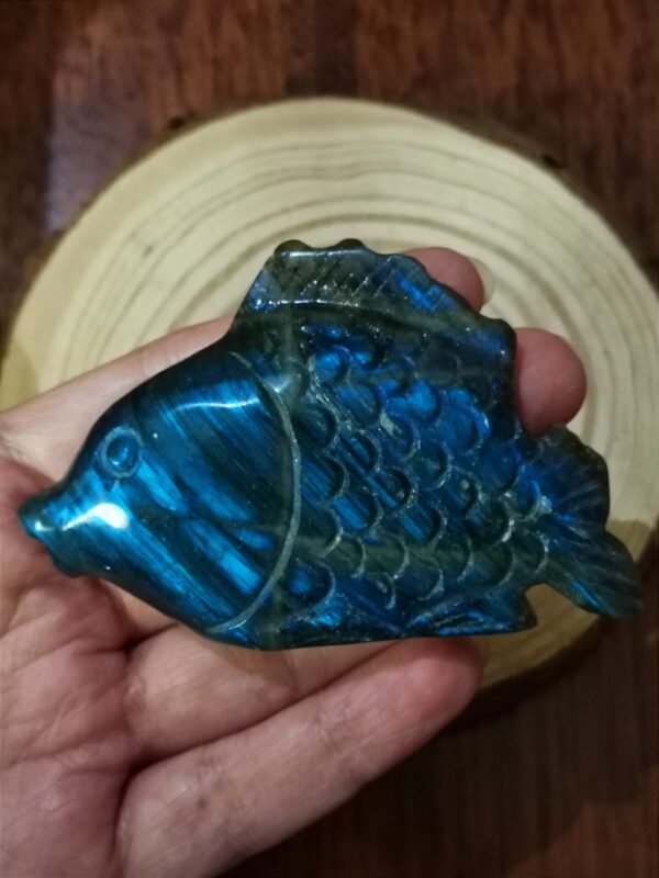 oznorCO Pez tallado en labradorita natural