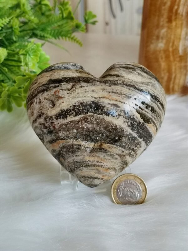Natural Ocean Jasper Heart · Distinctive Zebra Pattern · Decorative Piece with Geode · Collectible Crystal