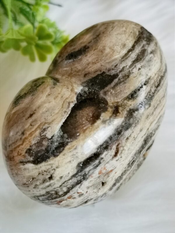 Natural Ocean Jasper Heart · Distinctive Zebra Pattern · Decorative Piece with Geode · Collectible Crystal