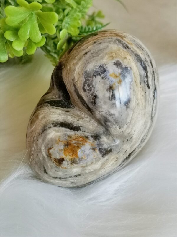 Natural Ocean Jasper Heart · Distinctive Zebra Pattern · Decorative Piece with Geode · Collectible Crystal