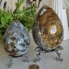 mmexport1769616597367 Natural Ocean Jasper Egg · Defined Pattern with Cavities · Decorative and Collectible Piece