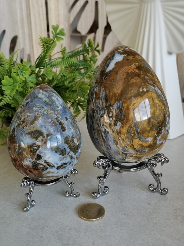 mmexport1769616597367 Natural Ocean Jasper Egg · Defined Pattern with Cavities · Decorative and Collectible Piece