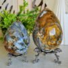 oznorCO Natural Ocean Jasper Egg · Defined Pattern with Cavities · Decorative and Collectible Piece