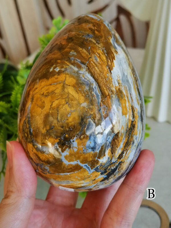 mmexport1769616626293 Natural Ocean Jasper Egg · Defined Pattern with Cavities · Decorative and Collectible Piece
