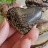 Natural Picture Jasper Heart – Polished Landscape Jasper – Home Decor, Meditation, and Collectibles