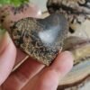 Natural Picture Jasper Heart – Polished Landscape Jasper – Home Decor, Meditation, and Collectibles