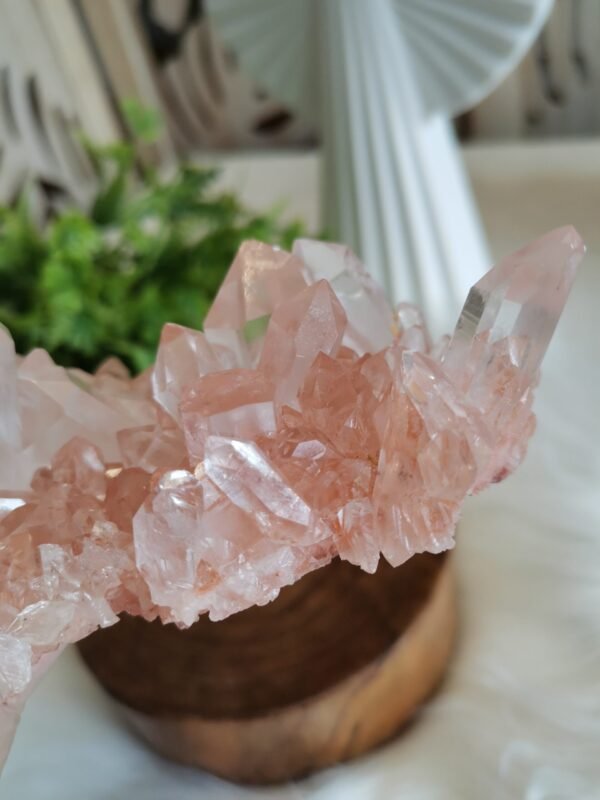 mmexport1770410726460 Cuarzo Rosa – Racimo transparente