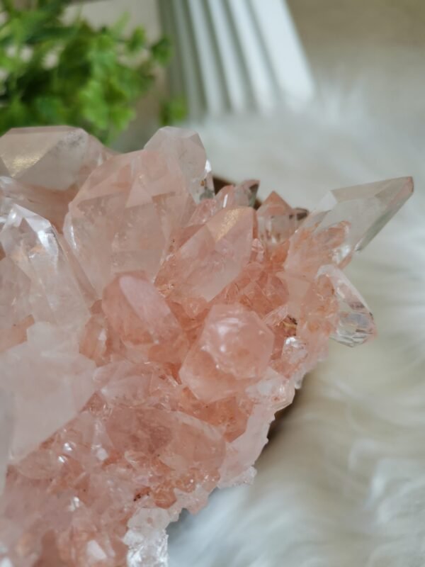 mmexport1770410729413 Cuarzo Rosa – Racimo transparente