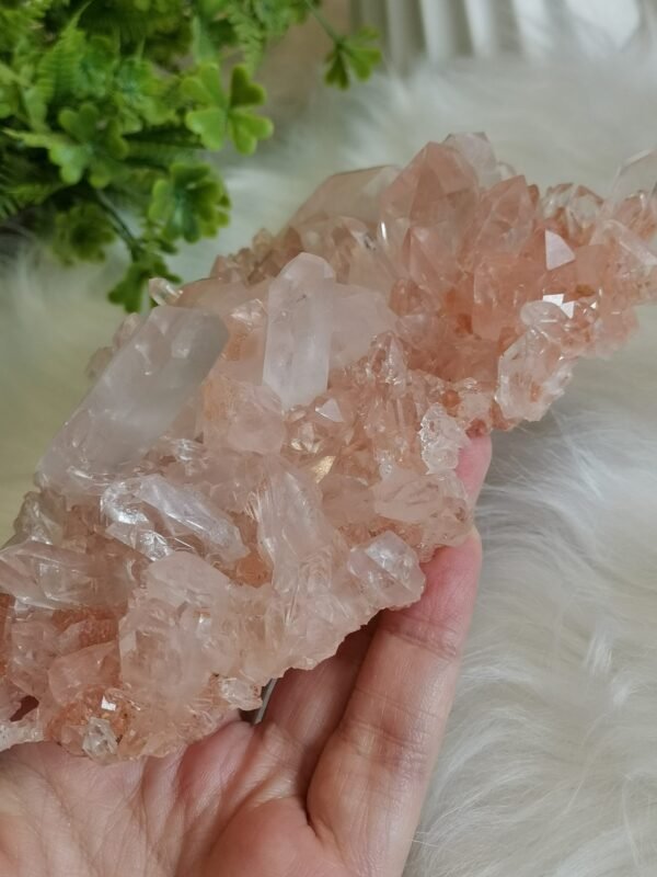 mmexport1770410732261 Cuarzo Rosa – Racimo transparente