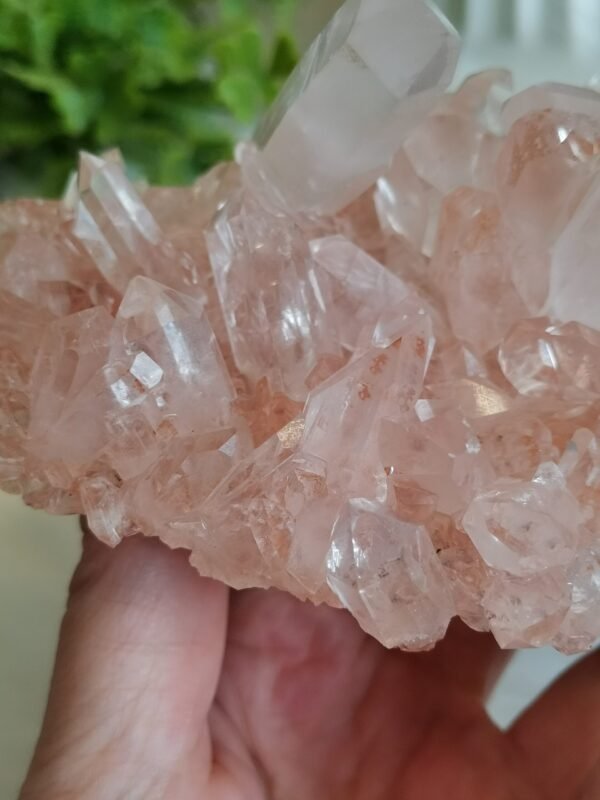 mmexport1770410738356 Cuarzo Rosa – Racimo transparente