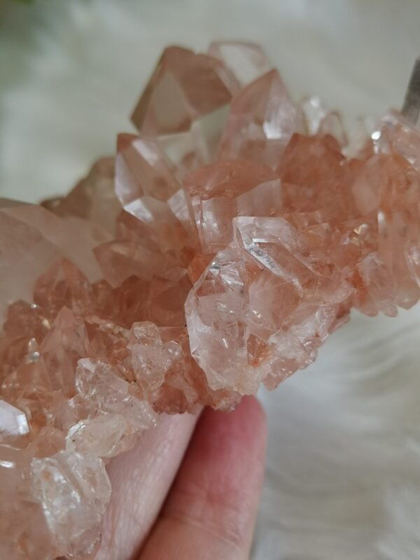 mmexport1770410744107 Cuarzo Rosa – Racimo transparente