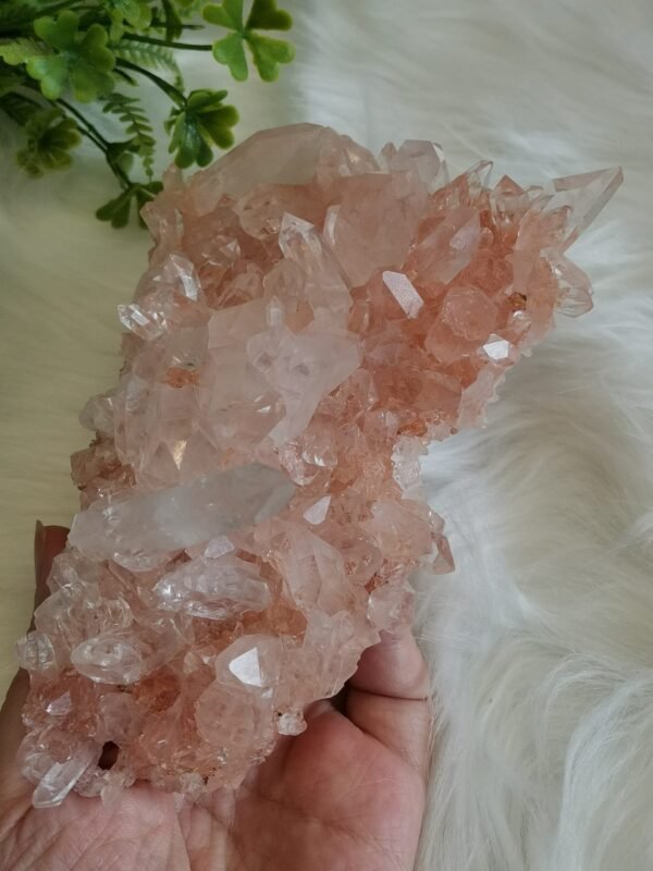 mmexport1770410746490 Cuarzo Rosa – Racimo transparente