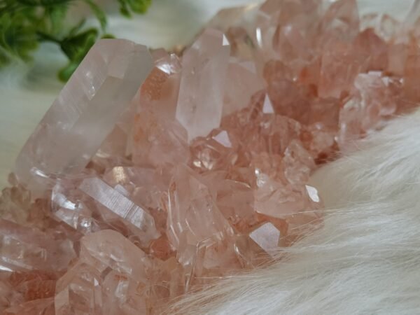 mmexport1770410752075 Cuarzo Rosa – Racimo transparente