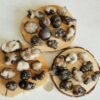 Natural Panda Agate – Collectible Stone with Black and Cream Patterns, Decorative Mineral, Polished Stone, Mineral Collection