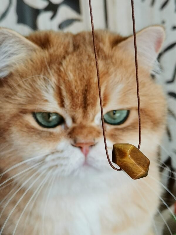 Collar Ojo de Tigre Natural Doble Punta • Piedra Protectora