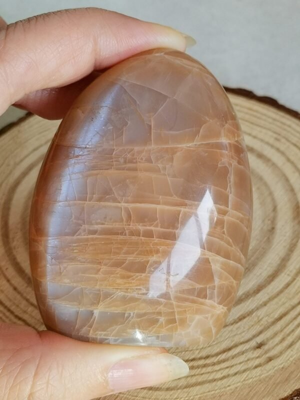 Natural Freeform Moonstone with Blue Flash • Decorative Piece & Collection