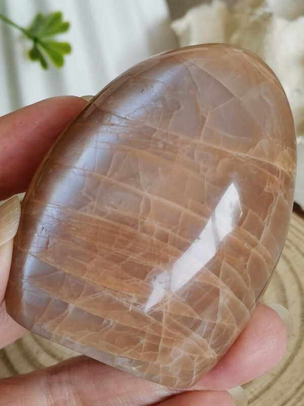 Natural Freeform Moonstone with Blue Flash • Decorative Piece & Collection