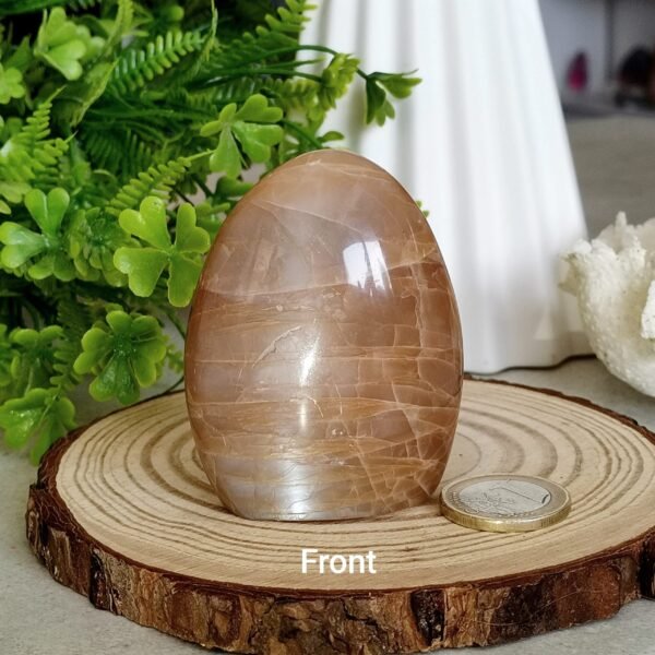 Natural Freeform Moonstone with Blue Flash • Decorative Piece & Collection