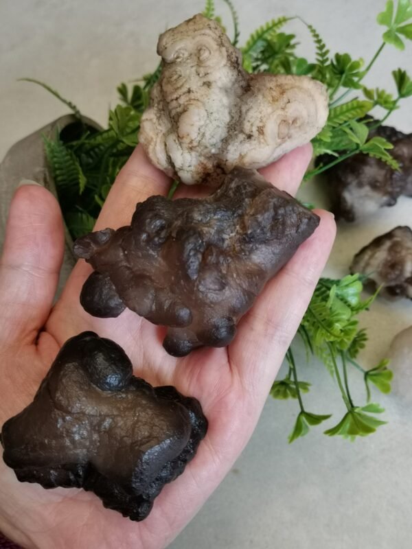 Natural Panda Agate – Collectible Stone with Black and Cream Patterns, Decorative Mineral, Polished Stone, Mineral Collection