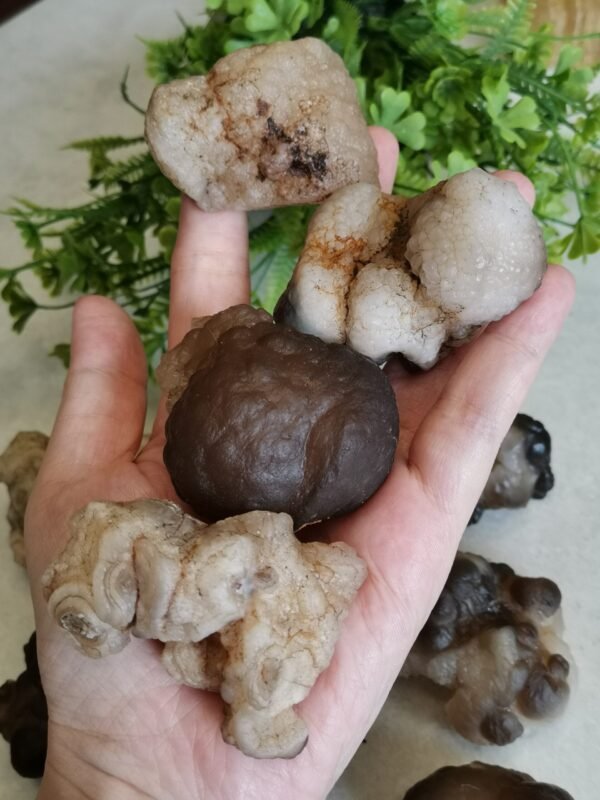 Natural Panda Agate – Collectible Stone with Black and Cream Patterns, Decorative Mineral, Polished Stone, Mineral Collection