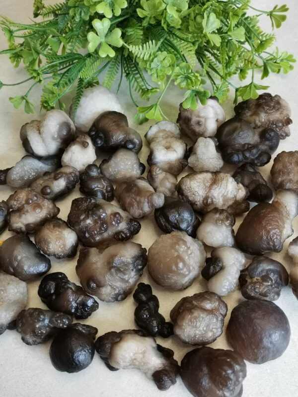 Natural Panda Agate – Collectible Stone with Black and Cream Patterns, Decorative Mineral, Polished Stone, Mineral Collection