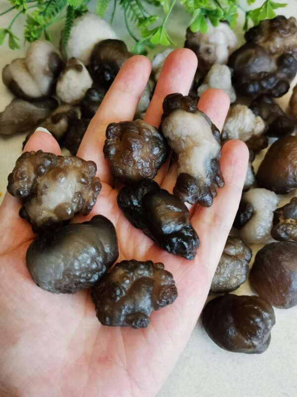 Natural Panda Agate – Collectible Stone with Black and Cream Patterns, Decorative Mineral, Polished Stone, Mineral Collection