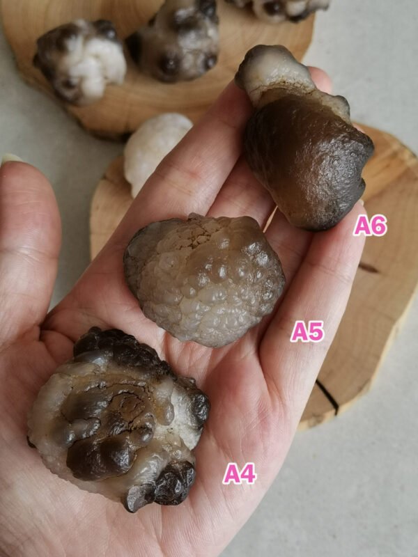 Natural Panda Agate – Collectible Stone with Black and Cream Patterns, Decorative Mineral, Polished Stone, Mineral Collection