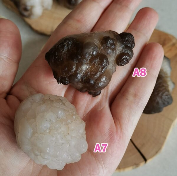 Natural Panda Agate – Collectible Stone with Black and Cream Patterns, Decorative Mineral, Polished Stone, Mineral Collection