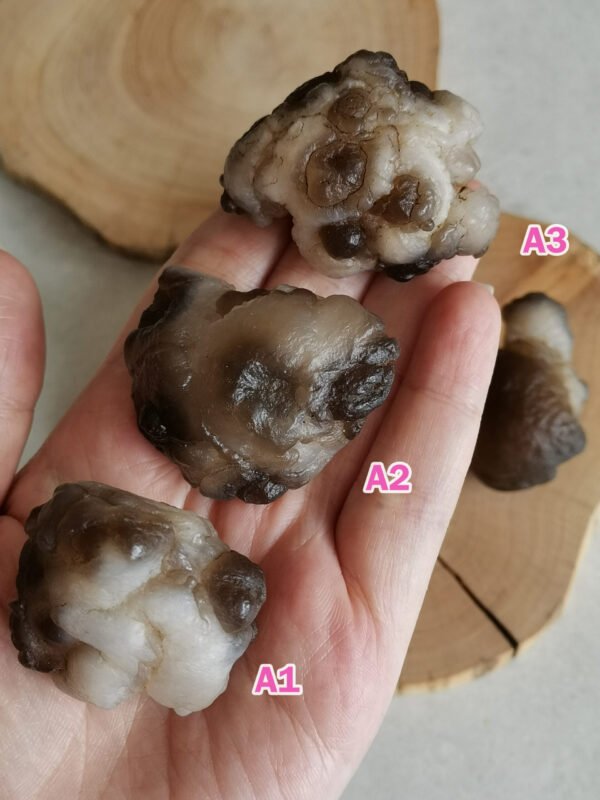 Natural Panda Agate – Collectible Stone with Black and Cream Patterns, Decorative Mineral, Polished Stone, Mineral Collection